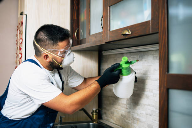 Best Rat Extermination Near Me  in Coloma, MI