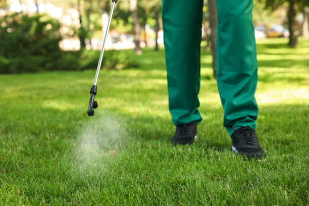 Best Pest Prevention Services  in Coloma, MI