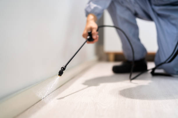Best Wasp Removal Services  in Coloma, MI