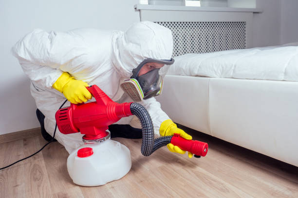 Best Emergency Pest Control  in Coloma, MI