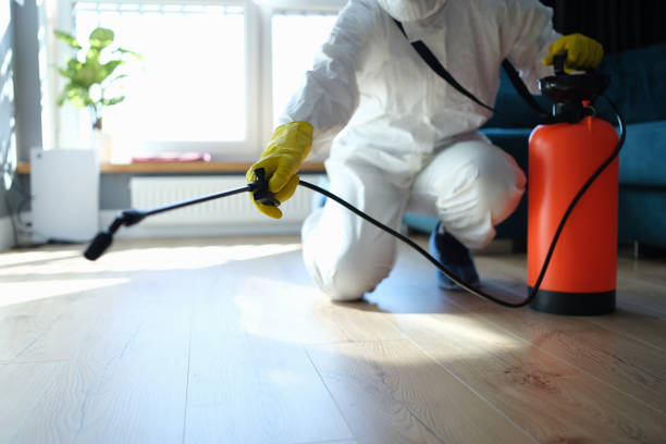 Insect Control in Coloma, MI