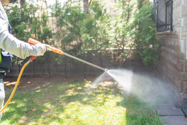Best Insect Control  in Coloma, MI