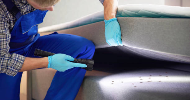 Best Best Pest Control Companies  in Coloma, MI