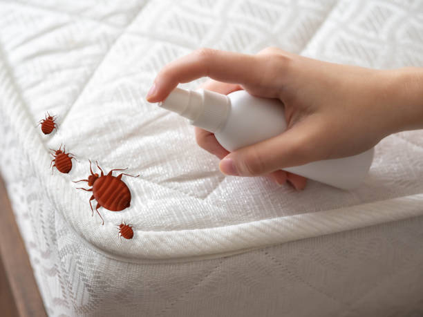 Reliable Coloma, MI Pest Control Solutions