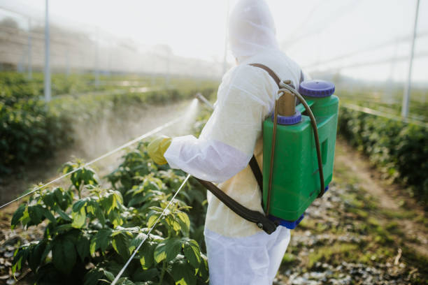 Best Affordable Pest Control Services  in Coloma, MI